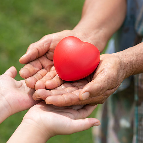 Disposal To Charity